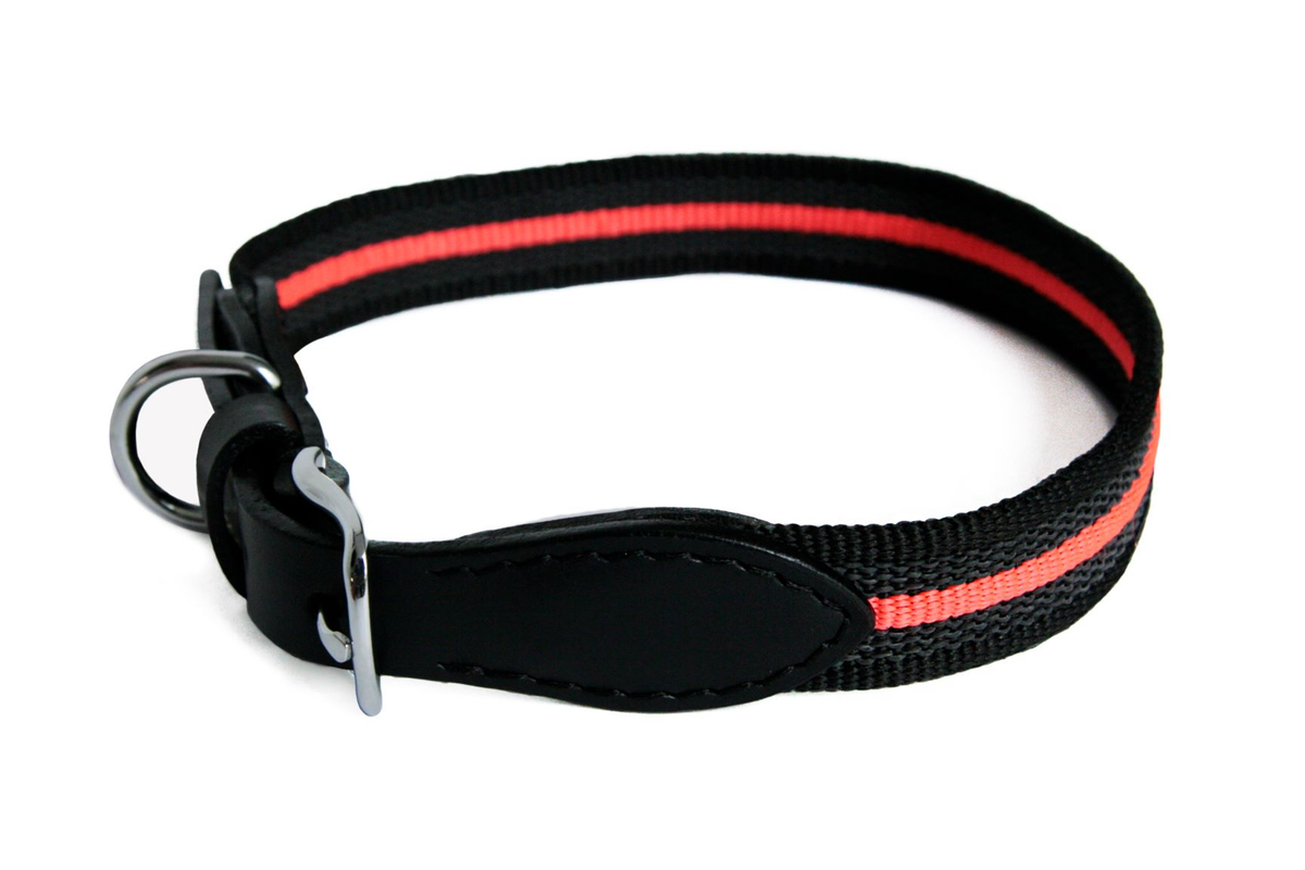 Alvalley Reflective Anti-Slip Dog Collar with Buckle (22in x 1in)