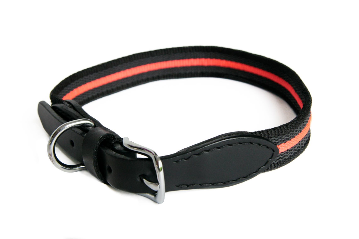 Alvalley Reflective Anti-Slip Dog Collar with Buckle (24in x 1in)