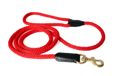 Alvalley Rope and Leather Snap Lead (4 ft x 3/4 in)