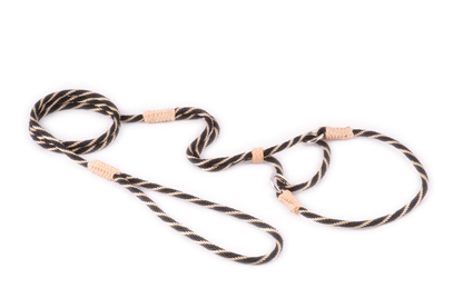 Alvalley Nylon Martingale Lead (10 in x 4 mm)
