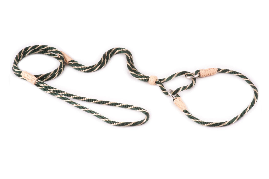 Nylon Martingale Leads (10in x 1/8in or 4mm)