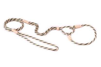 Alvalley Nylon Martingale Lead (10 in x 4 mm)