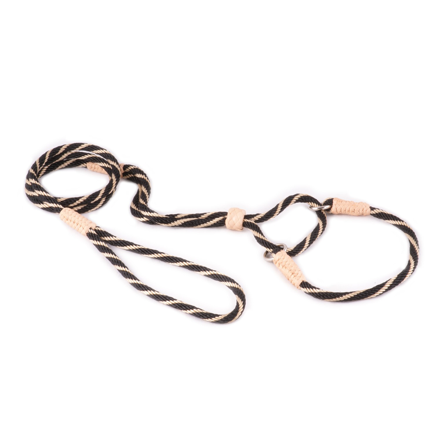 Alvalley Nylon Martingale Lead (10 in x 6 mm)