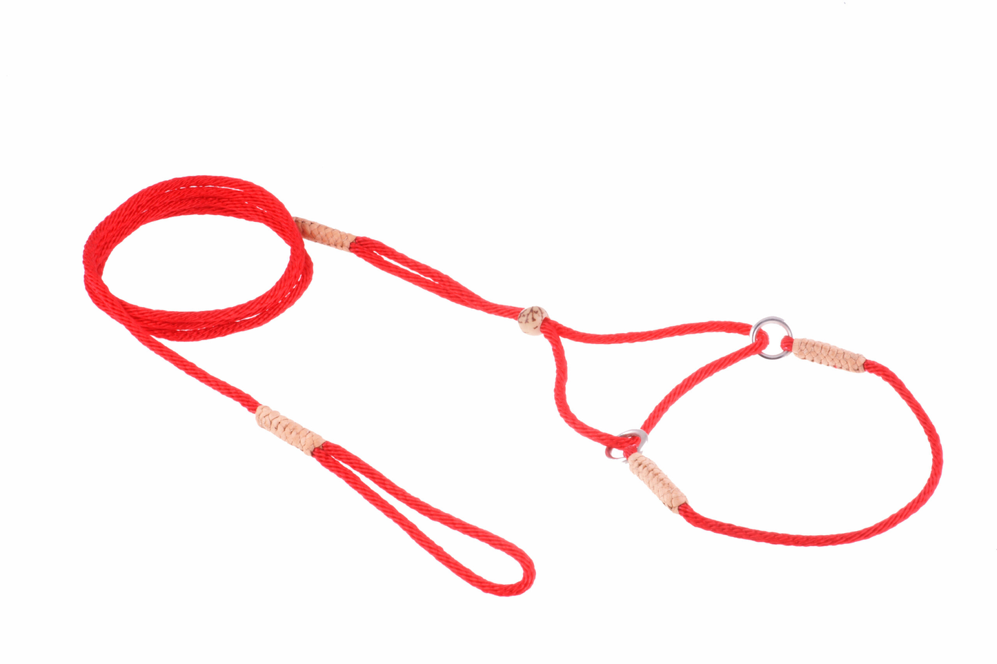Alvalley Nylon Martingale Lead (8 in x 2 mm)