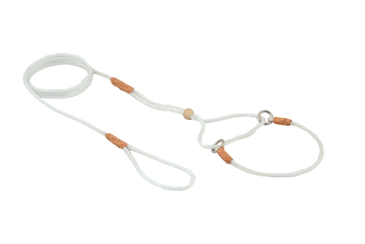 Alvalley Nylon Martingale Lead (8 in x 2 mm)