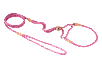 Alvalley Nylon Martingale Lead (10 in x 4 mm)