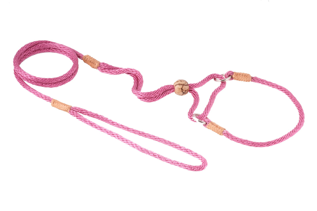 Nylon Martingale Leads (10in x 1/8in or 4mm)