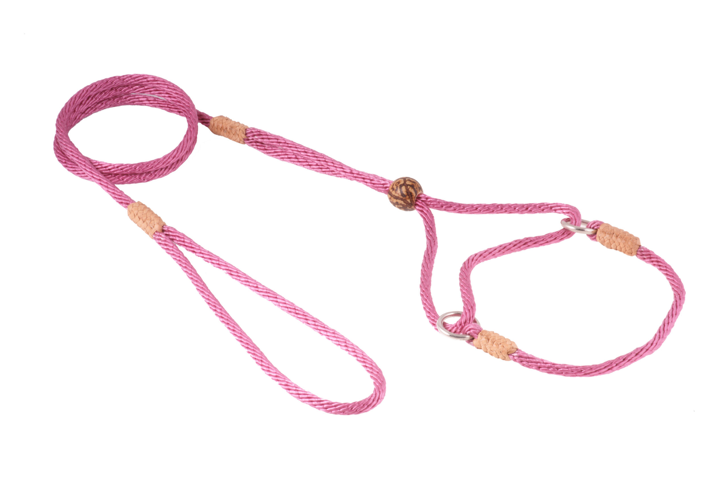 Alvalley Nylon Martingale Lead (8 in x 4 mm)