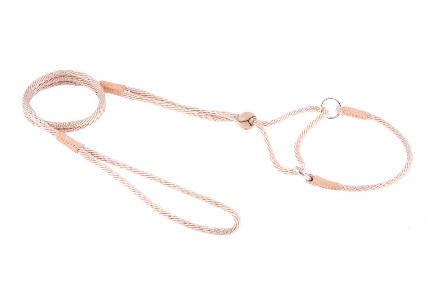 Alvalley Nylon Martingale Lead (8 in x 4 mm)
