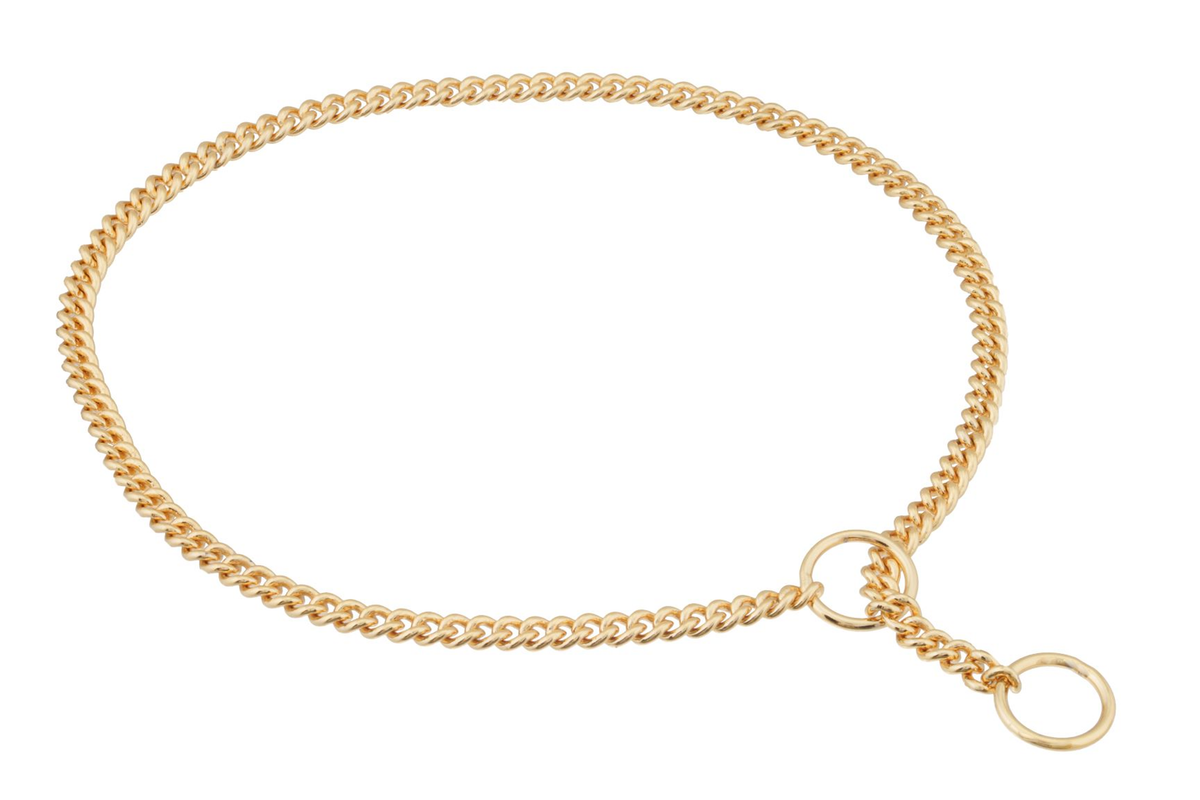 Alvalley Slip Curve Show Chain Collar (22 in x 1.6 mm) - Gold