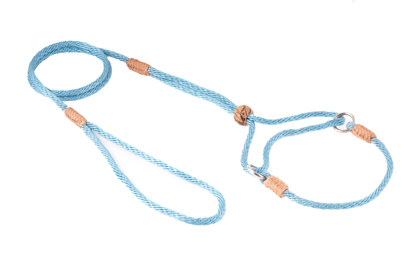 Alvalley Nylon Martingale Lead (8 in x 4 mm)