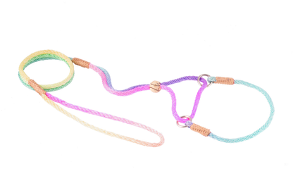 Alvalley Nylon Martingale Lead (10 in x 4 mm)