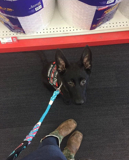 Hands-Free Multifunctional Rope Dog Leash