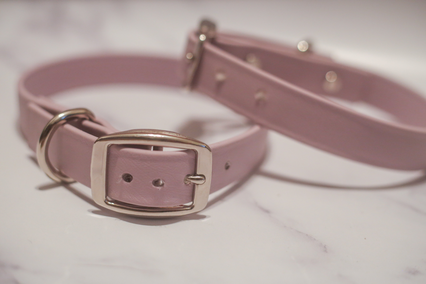 Biothane Buckle Dog Collar