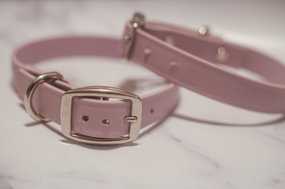 Biothane Buckle Dog Collar