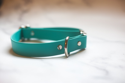 Biothane Quick Release Dog Collar