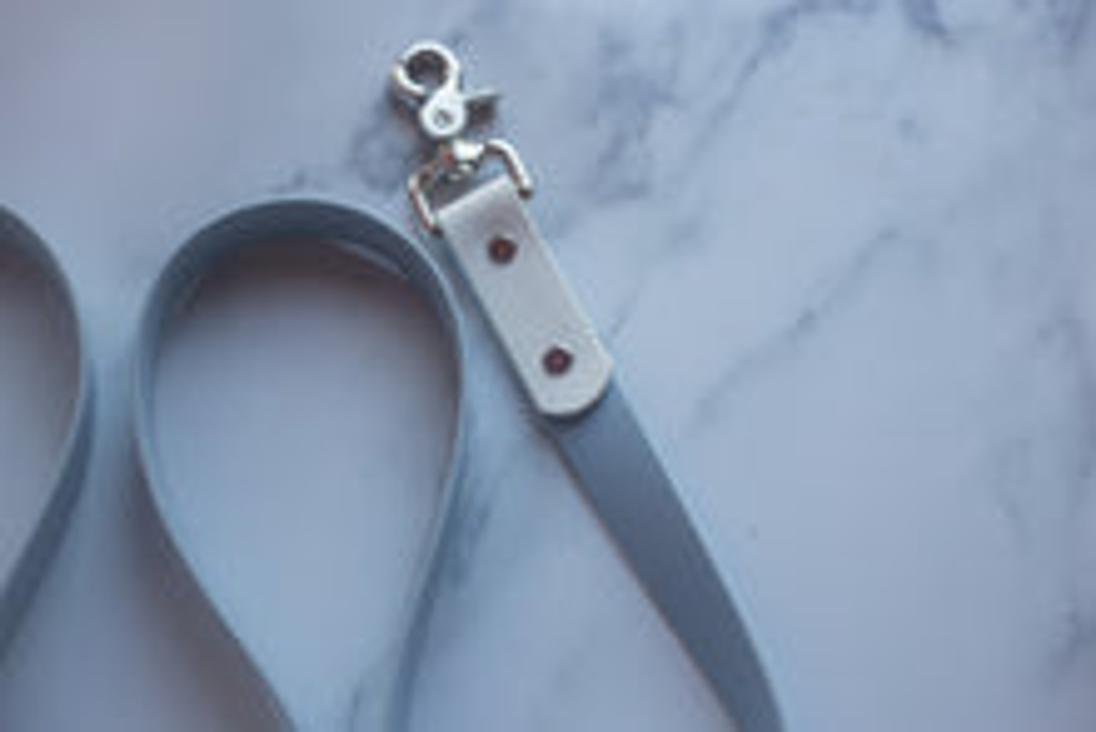 Biothane Leash - Two Toned, Style 2