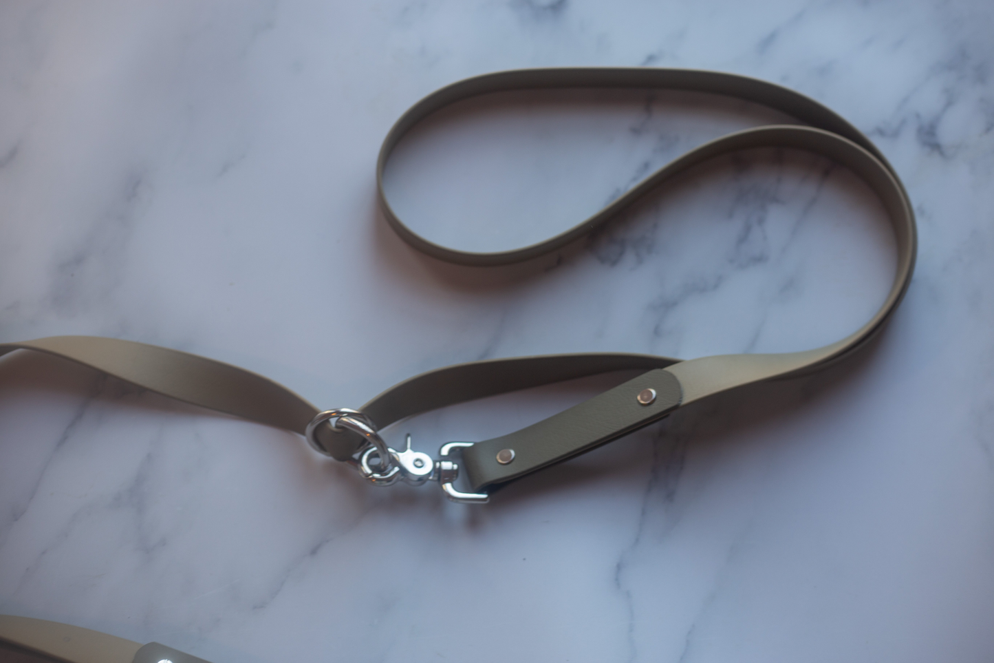 Hands-Free BioThane Dog Leash