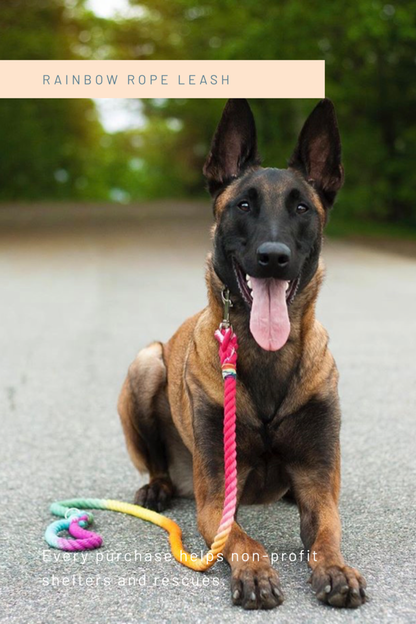 Rope Dog Leash