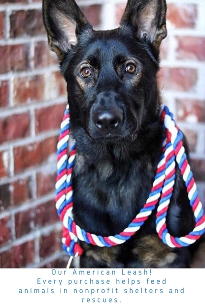 Knotted Rope Dog Leash