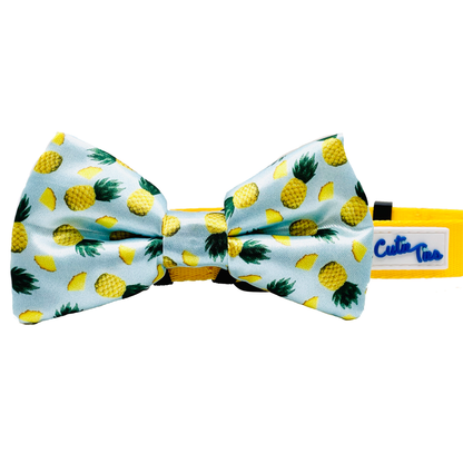 Cutie Ties Dog Bow Tie - Camo & Print Designs