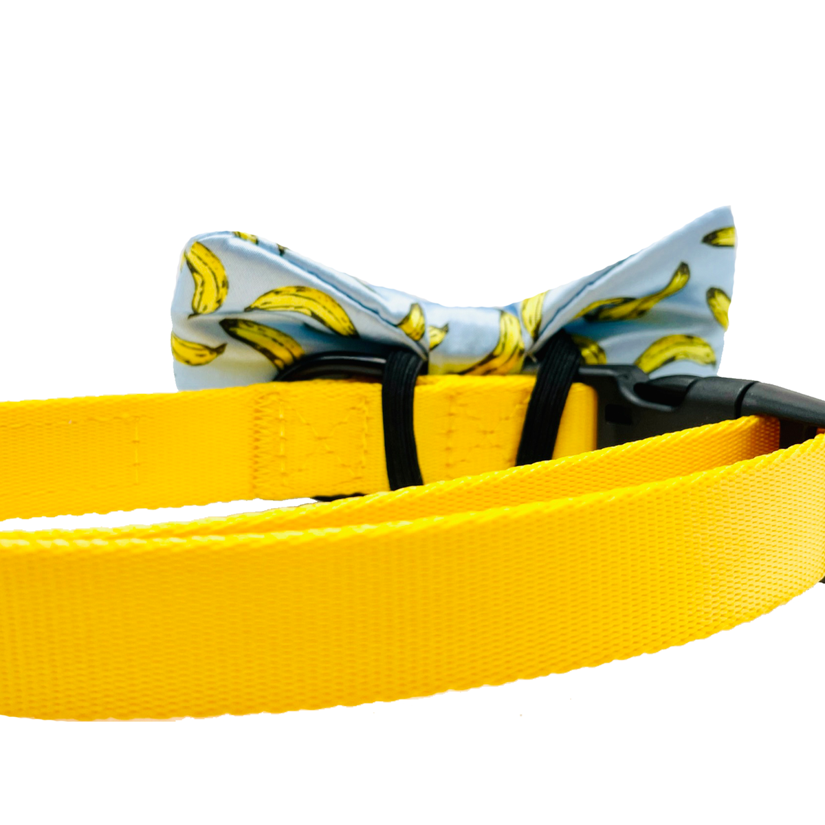 Cutie Ties Dog Bow Tie - Sports & Animal Designs