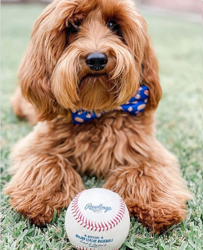 Cutie Ties Dog Bow Tie - Sports & Animal Designs