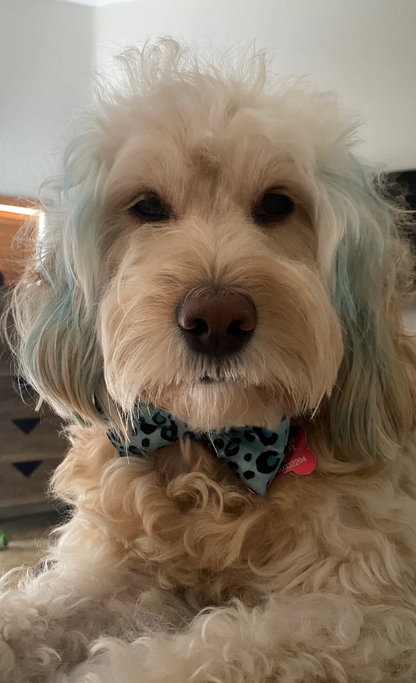 Cutie Ties Dog Bow Tie - Sports & Animal Designs