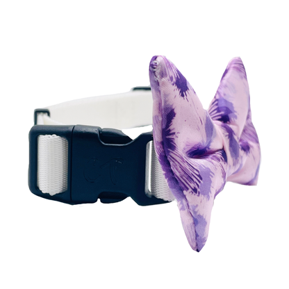 Cutie Ties Dog Bow Tie - Sports & Animal Designs