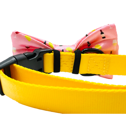 Cutie Ties Dog Bow Tie - Foodie & Tie-Dye Designs