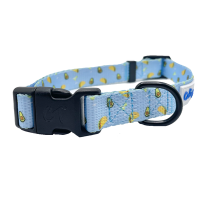 Cutie Ties Fun Design Dog Collar - Holiday & Themed