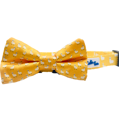Cutie Ties Fun Design Dog Collar - Classic Colors