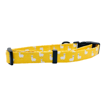 Cutie Ties Fun Design Dog Collar - Classic Colors