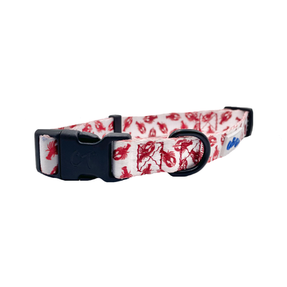 Cutie Ties Fun Design Dog Collar - Novelty Prints