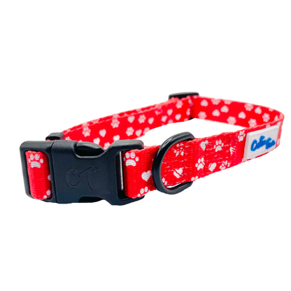 Cutie Ties Fun Design Dog Collar - Classic Colors