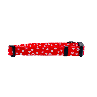 Cutie Ties Fun Design Dog Collar - Classic Colors
