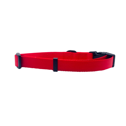Cutie Ties Fun Design Dog Collar - Classic Colors