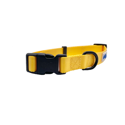 Cutie Ties Fun Design Dog Collar - Classic Colors