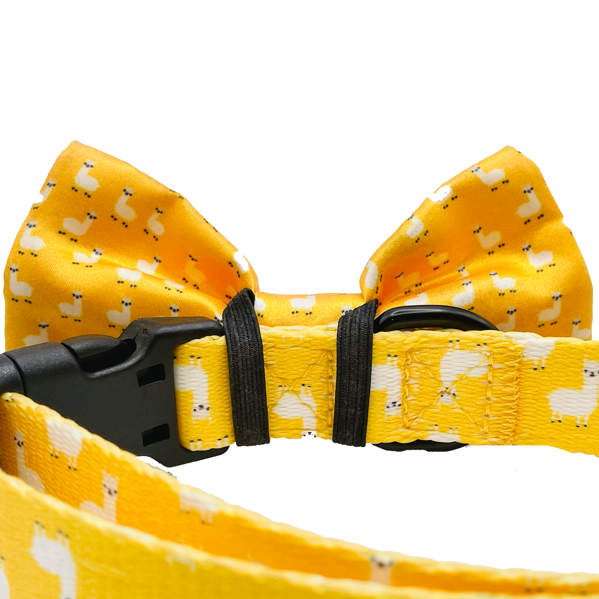 Cutie Ties Dog Bow Tie - Playful Pattern Designs