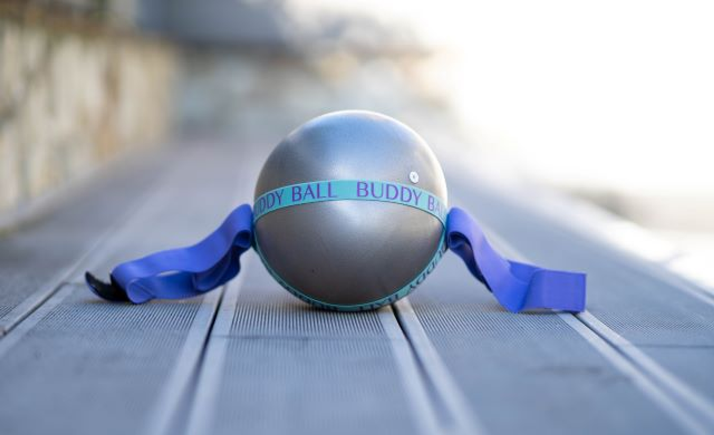 BuddyBall Pilates Ball Silver Gray