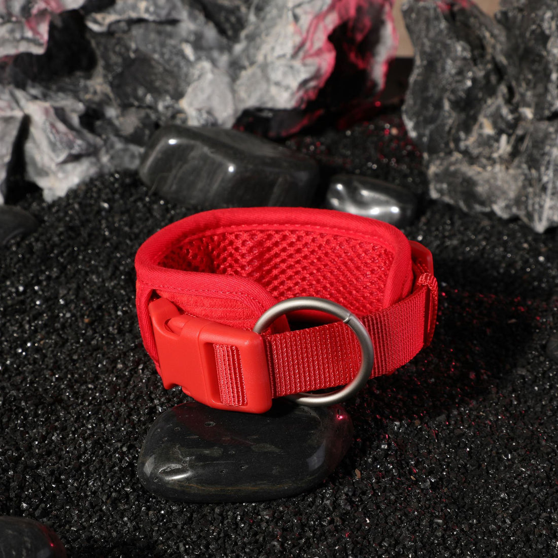 Corduroy Dog Collar, Leash, Harness and Bag Set, S to XL, image 7 of 24