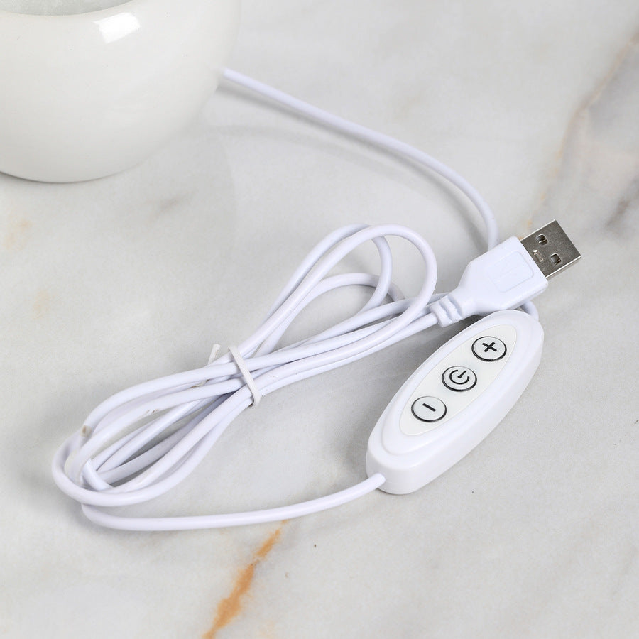 Ceramic Plug-In Artificial Flower Night Light