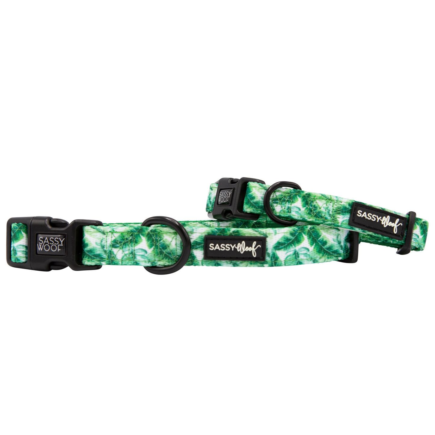 Sassy Woof Dog Collar