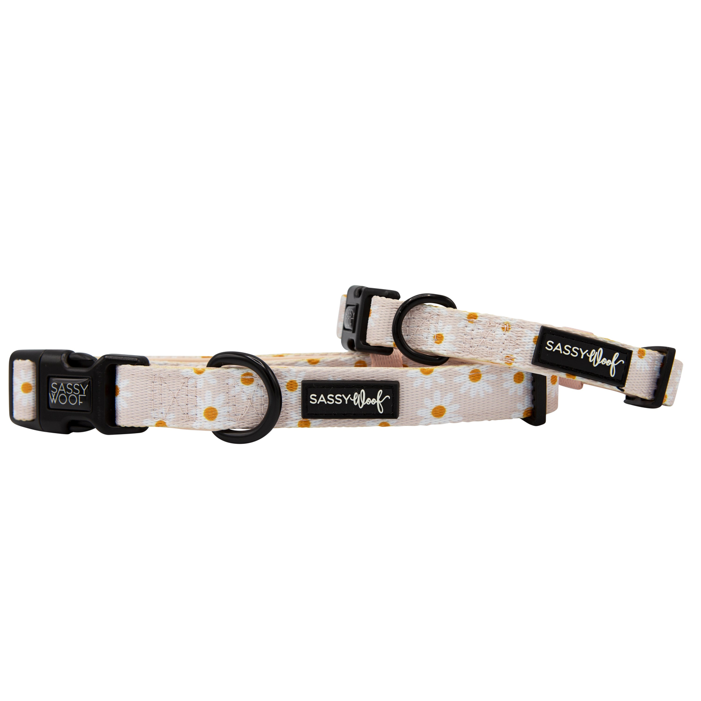 Sassy Woof Dog Collar