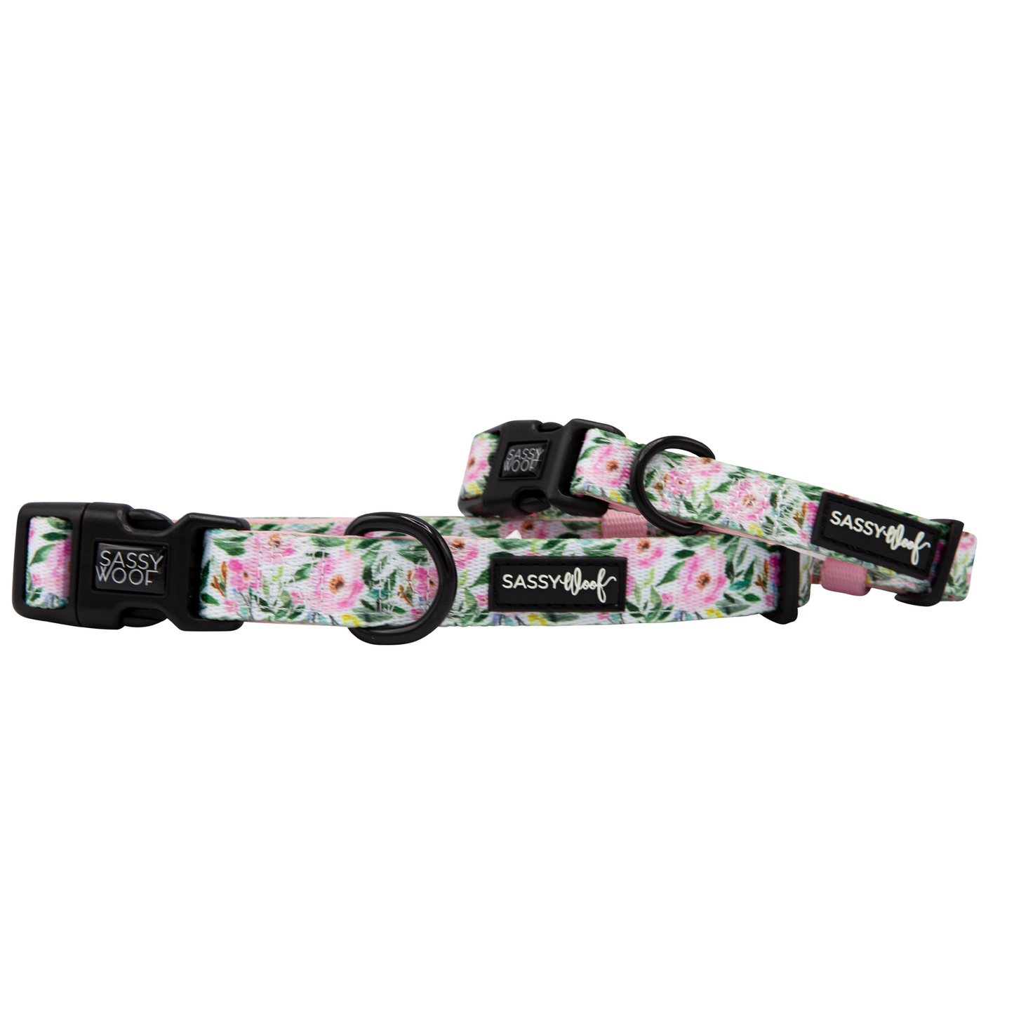 Sassy Woof Dog Collar