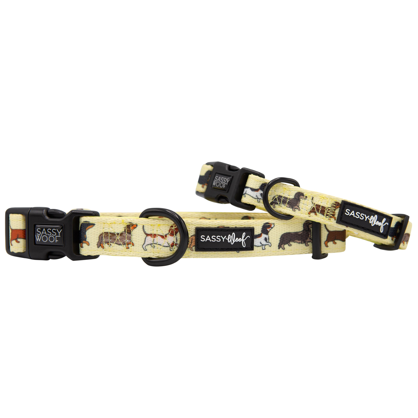 Sassy Woof Dog Collar