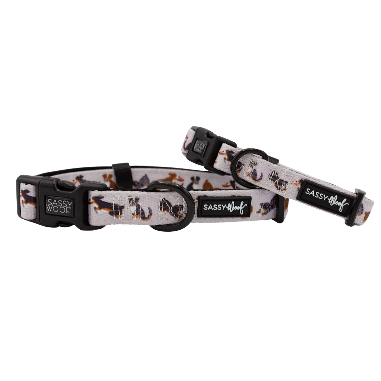 Sassy Woof Dog Collar
