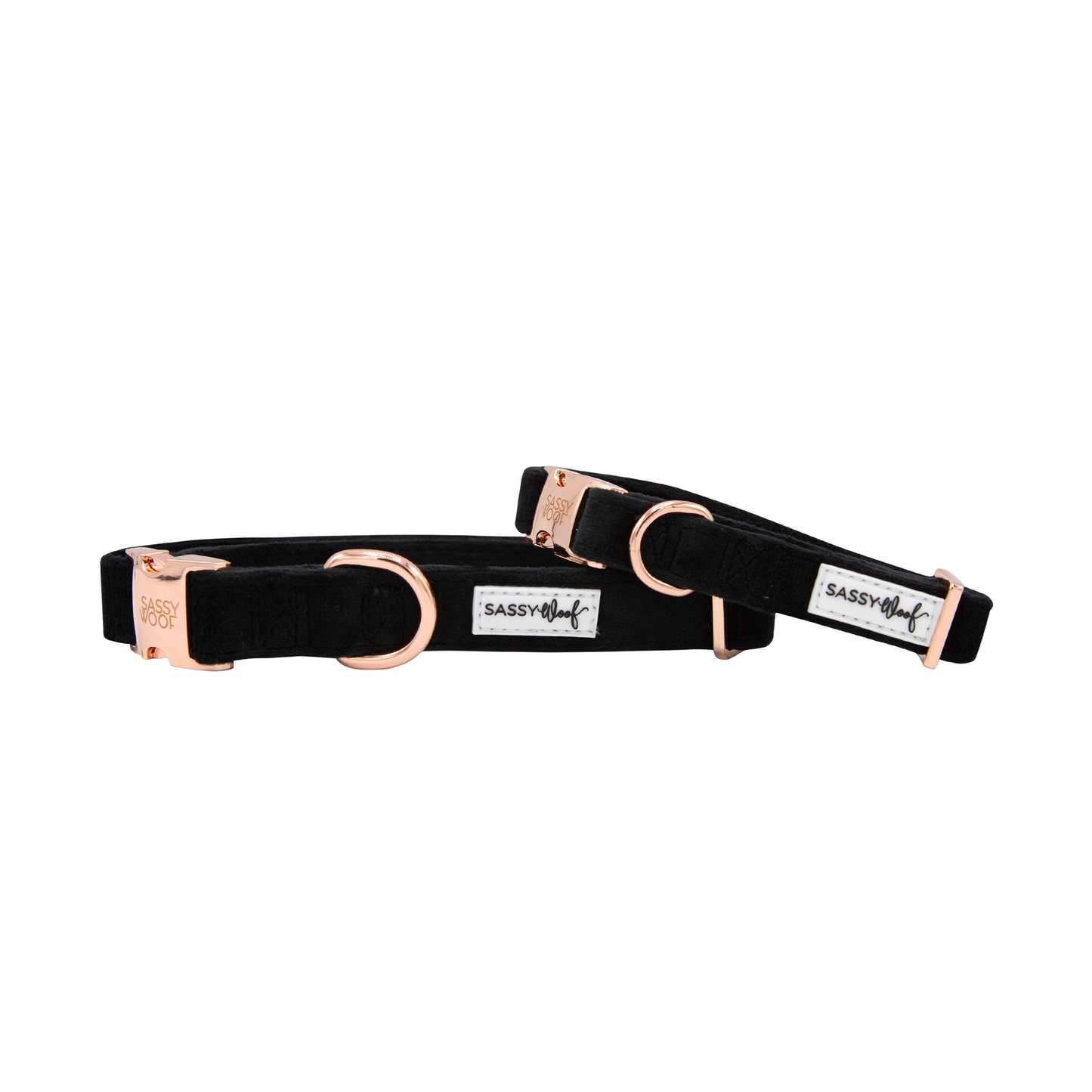 Sassy Woof Dog Collar