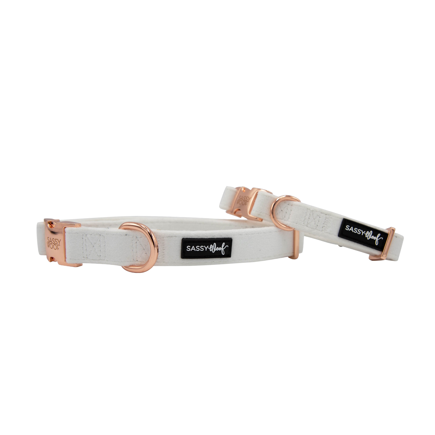 Sassy Woof Dog Collar