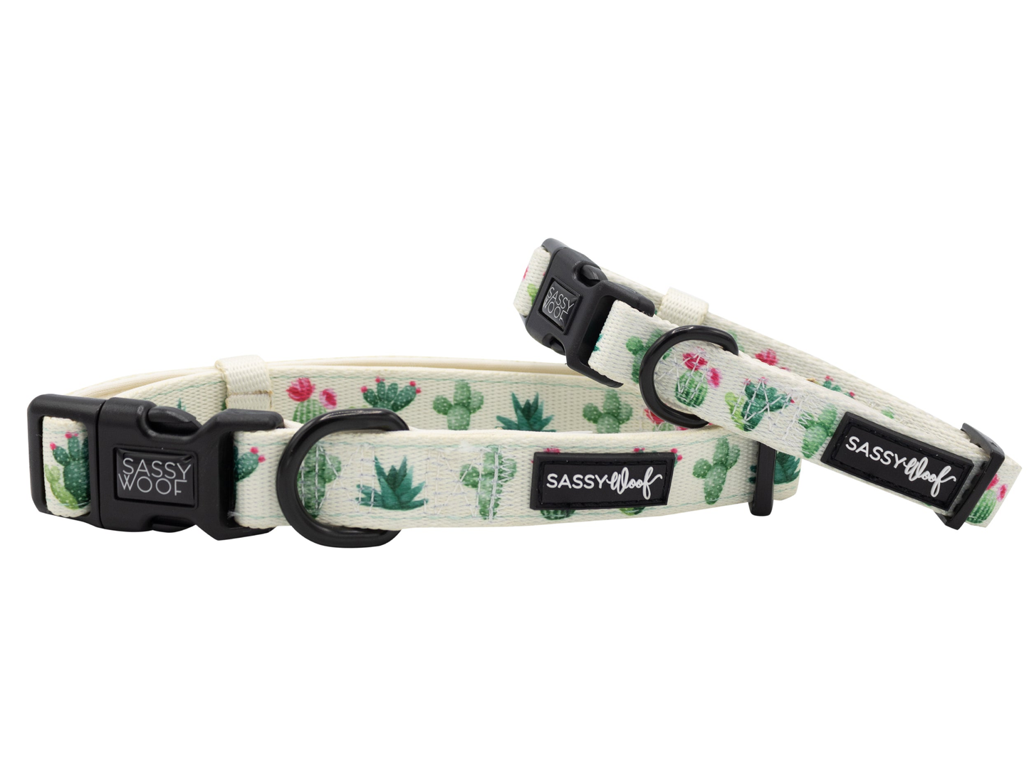 Sassy Woof Dog Collar